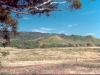 open spaces 1