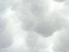 mammalated cloud