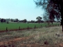 farming