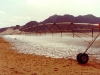 Wadi Rum irrigation