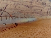 watering desert Wadi Rum