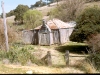 cottage 1
