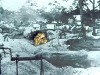 gold rush