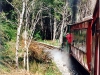 rack rail 1
