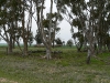 school site 1
