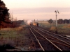 thundering locos