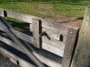 timber gate 1