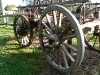waggon wheels