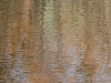 reflections 7
