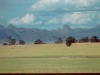 Warrumbungles