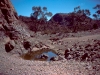 waterhole 1