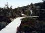pathways