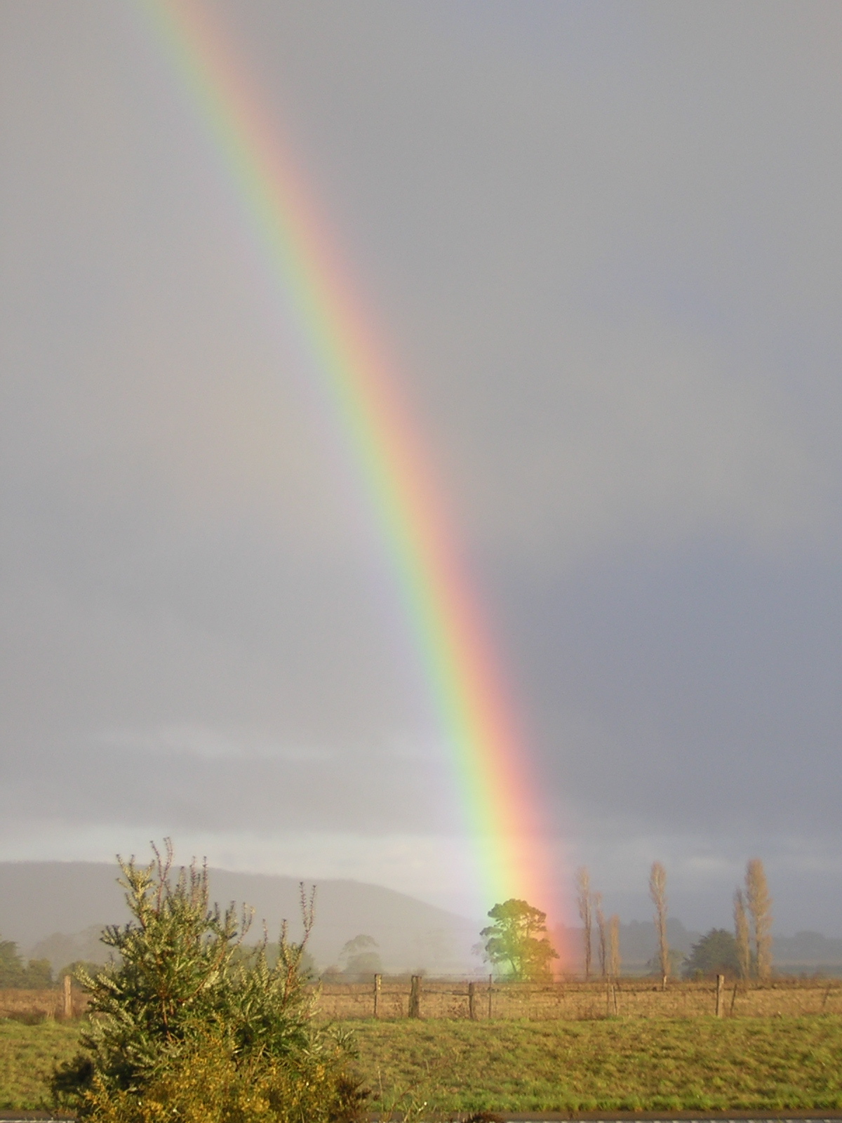 Rainbows - 34
