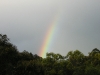 Rainbows - 07
