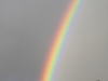 Rainbows - 28