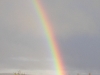 Rainbows - 34